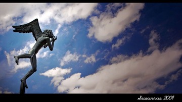亲吻天空的天使