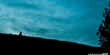 DSC_2712a