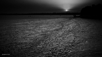 DSC_1854a