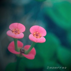 DSC_3760q_1200