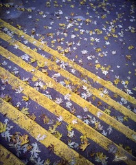 20101024479a