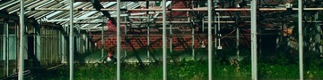 DSC_4337a