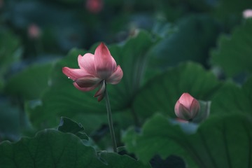 100054