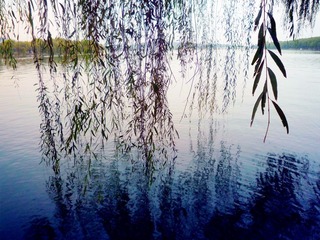 P1020332_