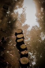 22