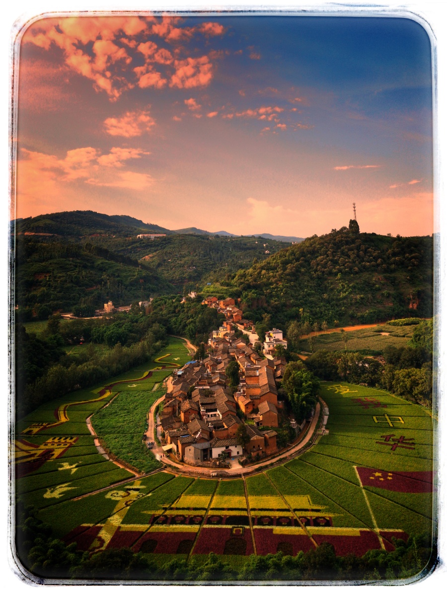 云南宜良马蹄湾彩色水稻手机