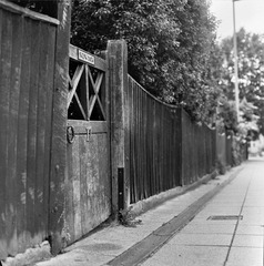 ---_0119 copy.jpg