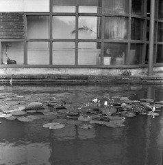 ---_0120 copy.jpg