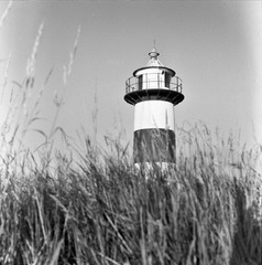 ---_0123 copy.jpg