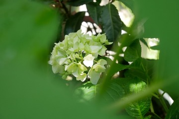 BFA5D750-CF33-4A6F-88BA-BD622DEB245B/L0/001