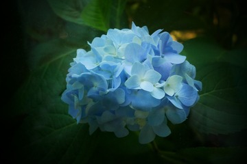 0AB2415B-473E-4119-B0E0-D72C2C316B39/L0/001