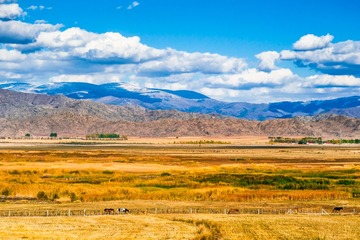 landscap-northwestern-2