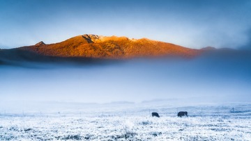 fog-kanas-4