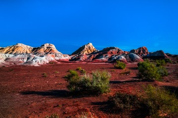 wucaichen-1