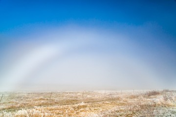 fog-kanas-2