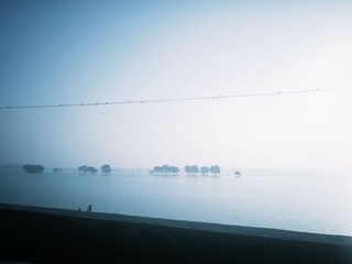 IMG_20141003_071628_1