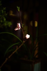 7CF84888-5D0B-4EEC-951A-05D926756ACE/L0/001