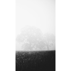 1782785