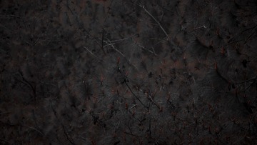 5D856F78-23ED-41BD-B860-5E8152655CAC/L0/001
