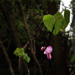 IMG_1887_7919390