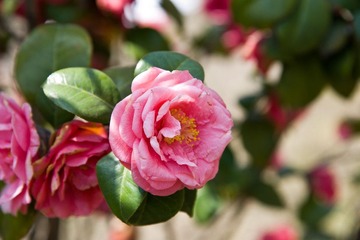 _LIN0236_LR.jpg