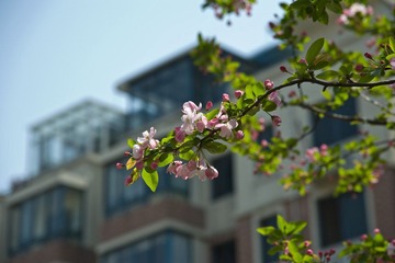 _LIN0243_LR.jpg