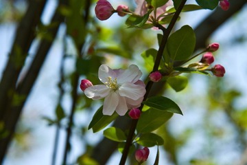 _LIN0260_LR.jpg