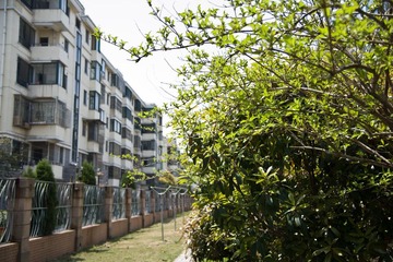 _LIN0266_LR.jpg
