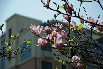 _LIN0273_LR.jpg