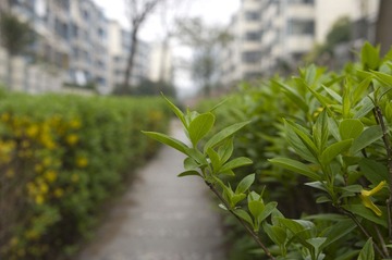 _PIC0005_1