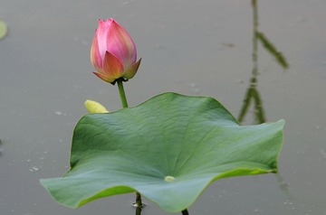 _PIC0007