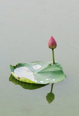 _PIC0024