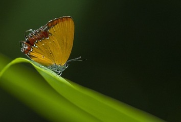 508064