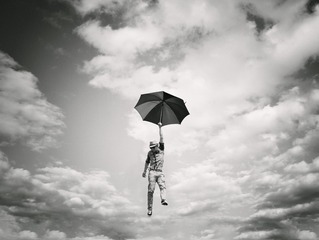 Fly