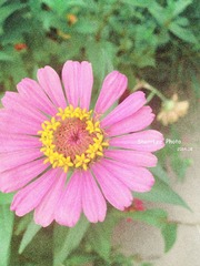 绵竹 慢时光-8