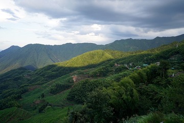 DSC03855