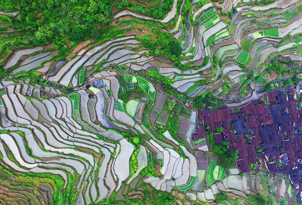 古村梯田