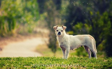 IMG_8059-编辑.jpg