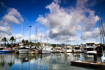 IMG_0765.jpg