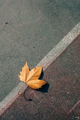 IMG_1947edit