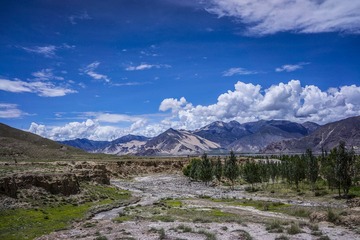 DSC00893_resize