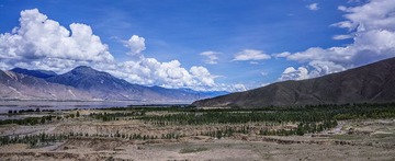 DSC00909_resize