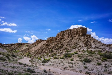 DSC00913_resize