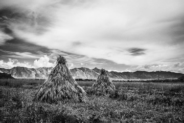 DSC01015BW