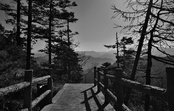 _S7A2520