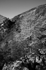 _S7A211475