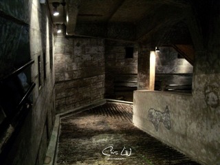 SAM_5447