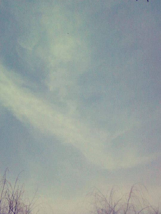2011__某日。<br />
