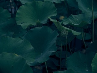 147325ED-EE7A-4BA2-8CFA-D91E8540C41F/L0/001
