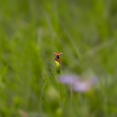 _DSC5558